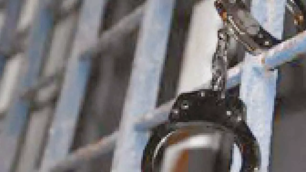 Crackdown at the capitals edge: Family of five Bangladeshi nationals caught in Delhi Crackdown at the capitals edge: Family of five Bangladeshi nationals caught in Delhi