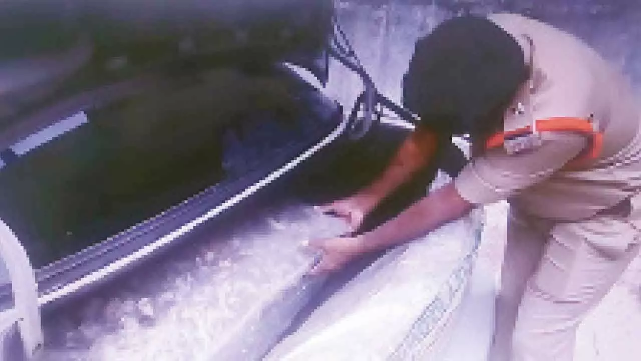 Temple outsourcing staff caught for theft attempt Temple outsourcing staff caught for theft attempt