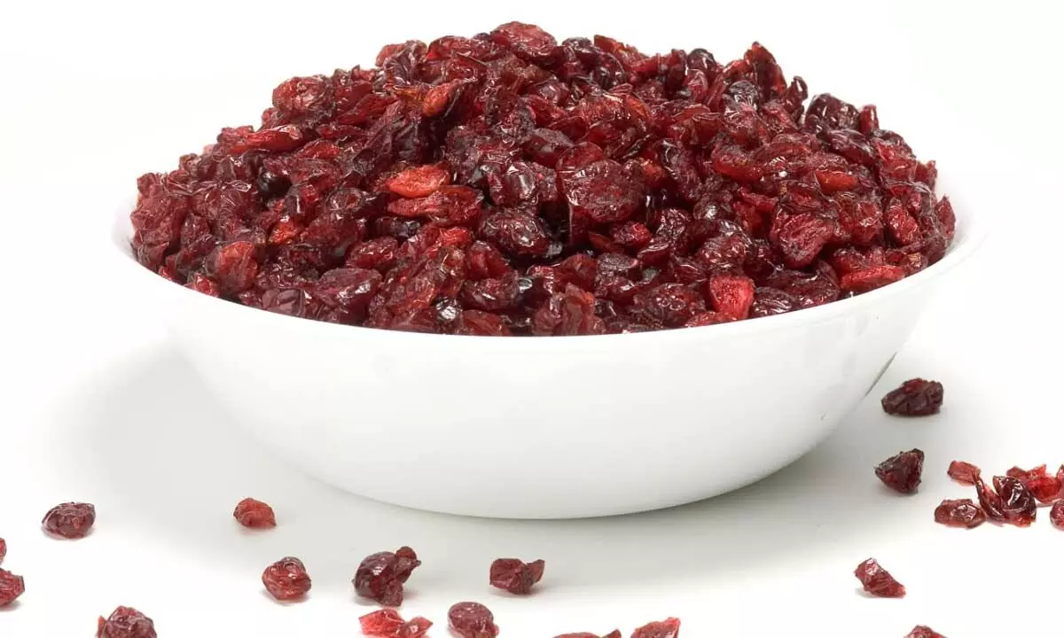 Indias Cranberry Craze: From Exotic Import to Everyday Superfruit Indias Cranberry Craze: From Exotic Import to Everyday Superfruit