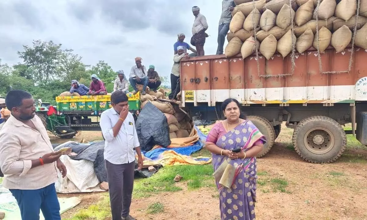 Paddy Procurement Accelerated Amid Early Rains: Civil Supplies Manager Vimala Paddy Procurement Accelerated Amid Early Rains: Civil Supplies Manager Vimala