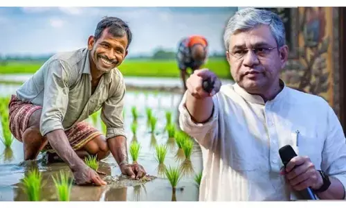 Bonanza For Farmers: Centre hikes MSP for Kharif crops, extends low-interest loans