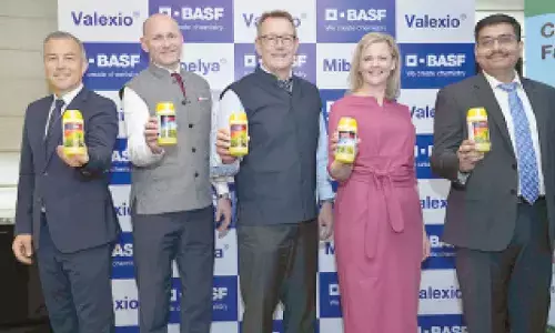 BASF launches breakthrough crop protection for paddy farmers