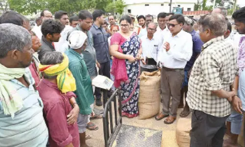 Collector calls for speedy procurement of paddy