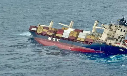 Kerala declares Liberian ship capsize as a state-specific disaster, CMFRI begins study