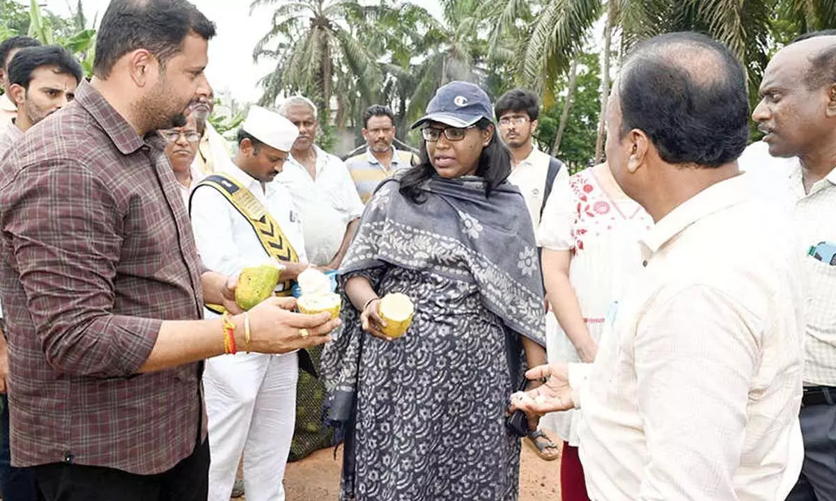 Call to increase area under natural farming Call to increase area under natural farming