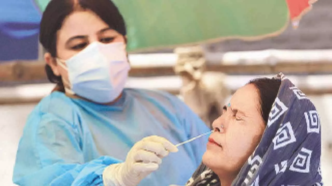 19 Covid patients hospitalised: CM Rekha Gupta 19 Covid patients hospitalised: CM Rekha Gupta