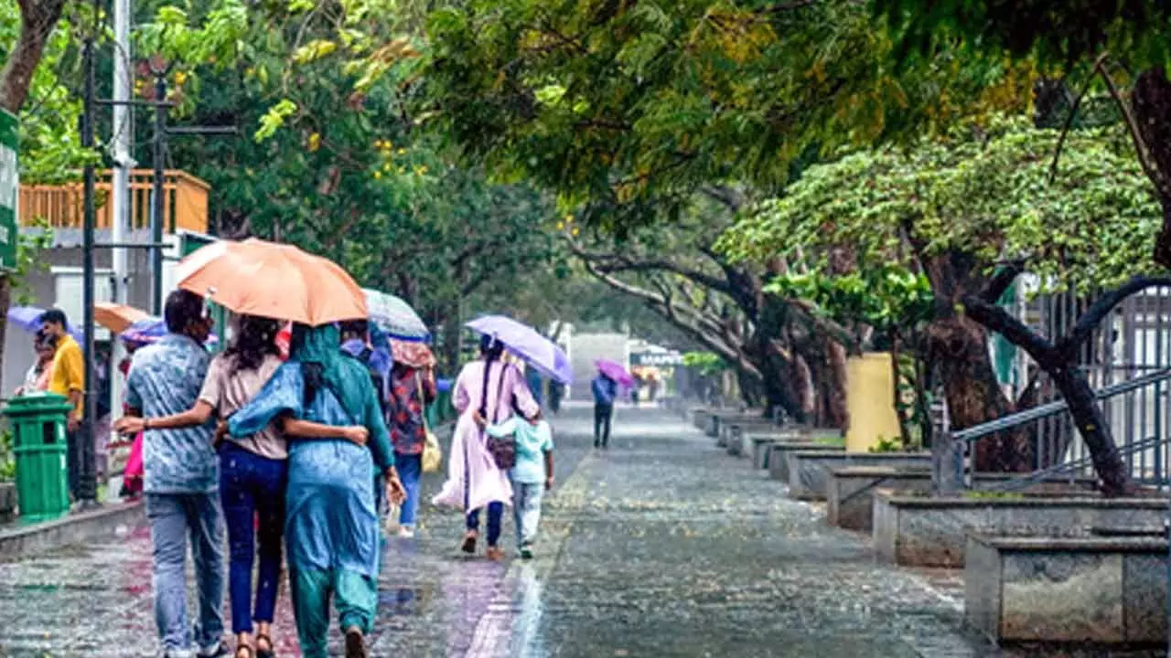 Normal life affected as monsoon rains cause havoc in Kerala Normal life affected as monsoon rains cause havoc in Kerala