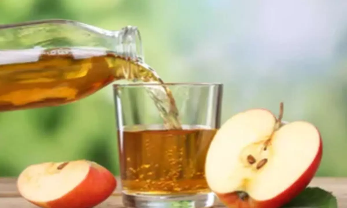 Morning Detox Boost: Health Benefits of Drinking Apple Cider Vinegar with Chia Seeds on an Empty Stomach Morning Detox Boost: Health Benefits of Drinking Apple Cider Vinegar with Chia Seeds on an Empty Stomach