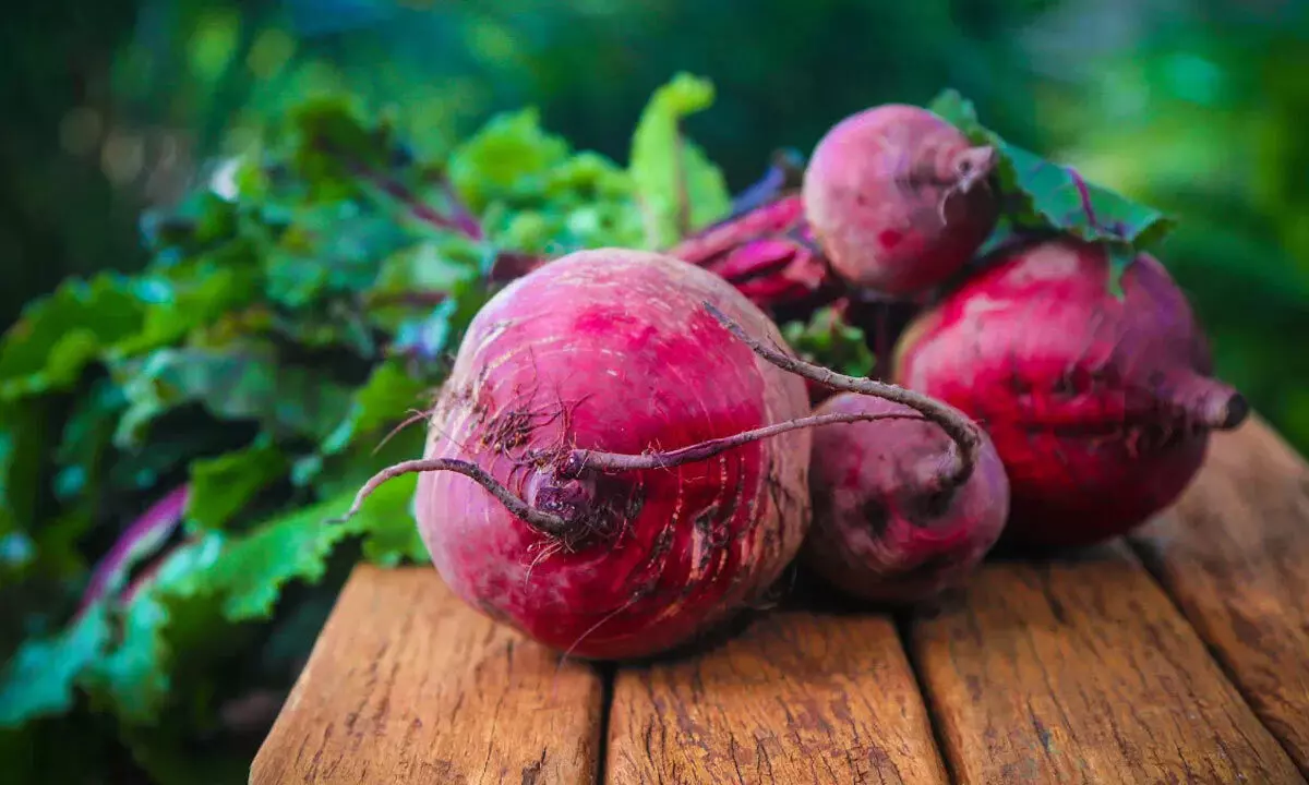 Raw vs Boiled Beetroot: Which Packs More Nutritional Punch? Raw vs Boiled Beetroot: Which Packs More Nutritional Punch?