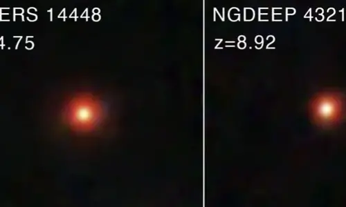 JWST uncovers new kind of black holes linking classical quasars and “Little Red Dots”