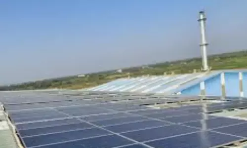 SAEL secures $132 million from global lenders for 300 MW solar project in Andhra Pradesh