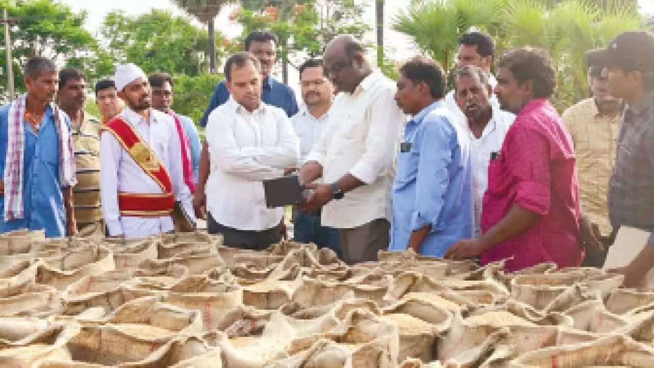 Significance increase in paddy procurement this year: DC Significance increase in paddy procurement this year: DC