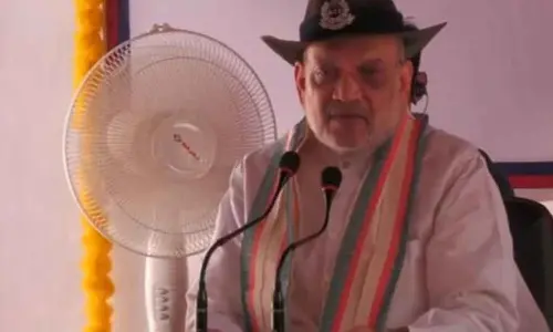 BSF destroyed 118 Pak posts, surveillance system: Amit Shah