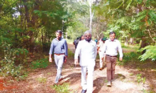 Eshwar Khandre recommends suspension of IFS officer