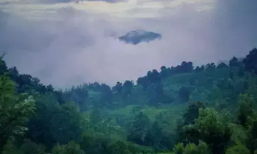 Weather dept predicts heavy rains in Nilgiris, Ghats in Coimbatore, southern districts of TN