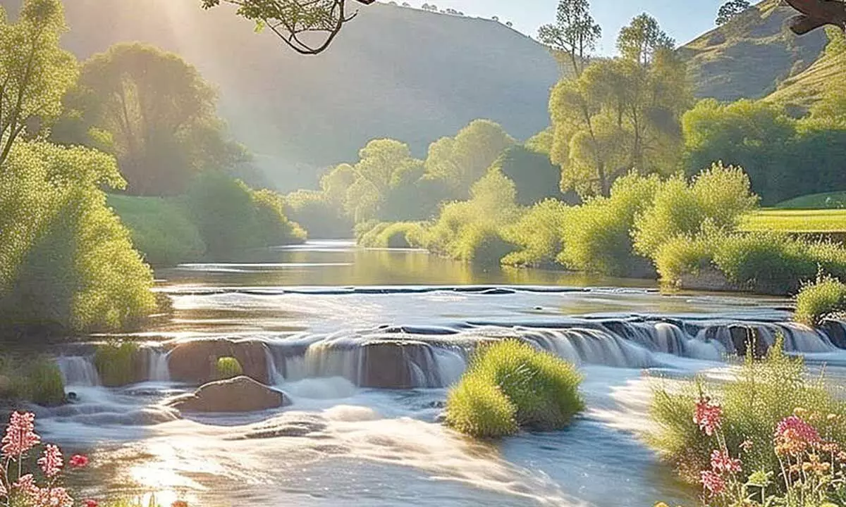 Bliss is your birth right Bliss is your birth right