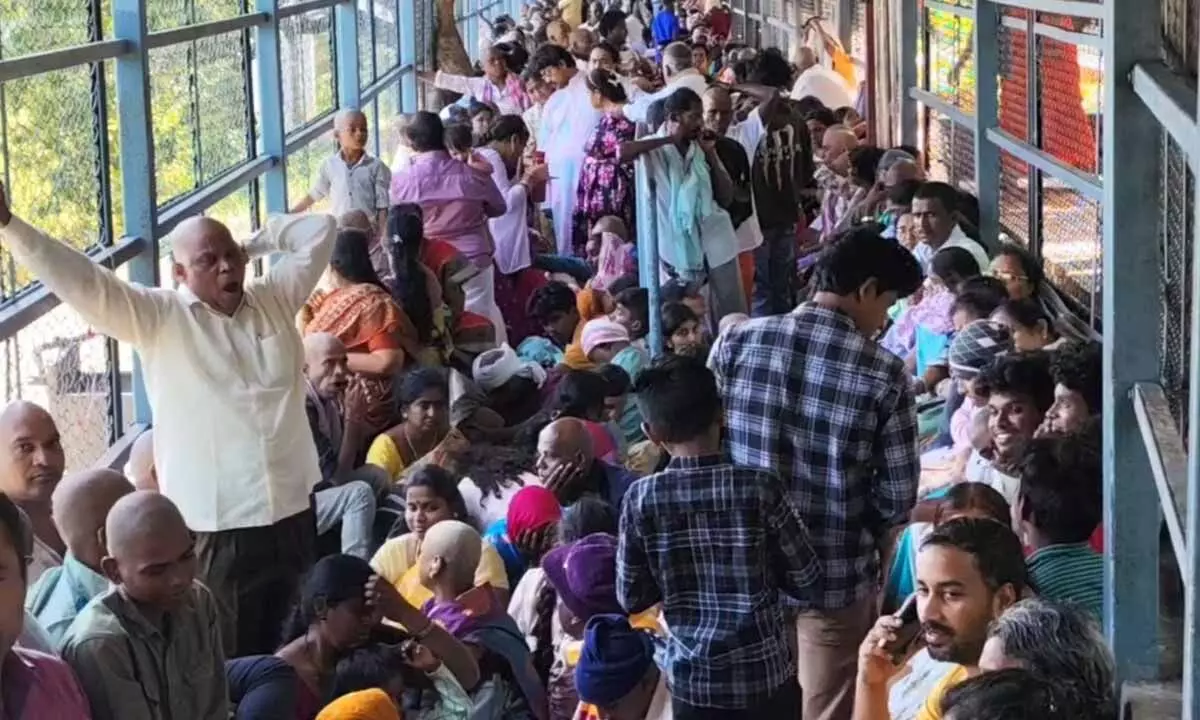 Record number of pilgrims had darshan on May 31 Record number of pilgrims had darshan on May 31