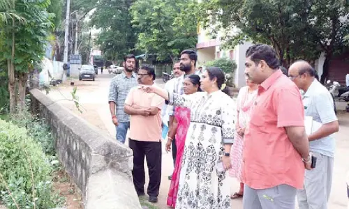 Keep parks clean: Civic chief