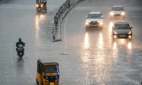 TN sees fewer heatwave days, higher rainfall this summer: Regional MeT Centre