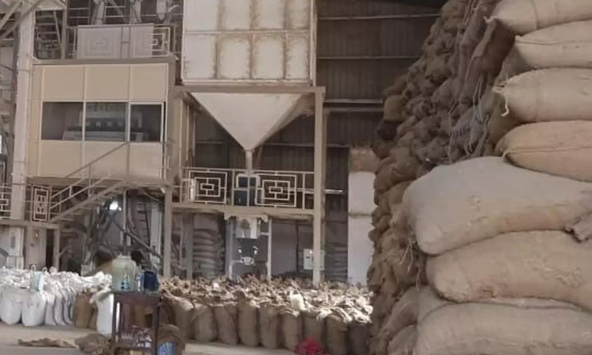 Paddy worth crores sent to mills lacking quality machines
