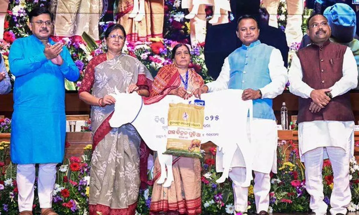 OMFED milk price hiked by Rs 2 per litre OMFED milk price hiked by Rs 2 per litre