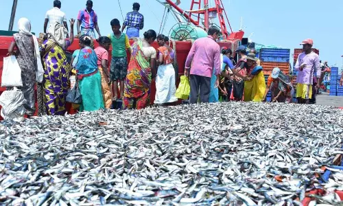 Coast braces for monsoon fishing ban