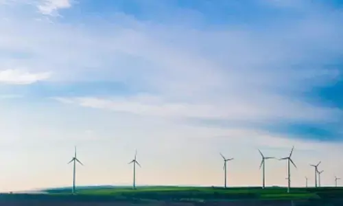 India to create 7.29 million green jobs by FY28, 35 million by 2047: Report