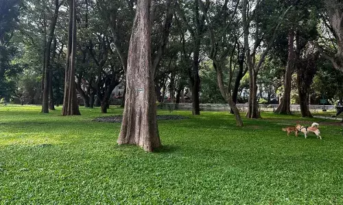 Bengaluru to Get a New Urban Lung: 153-Acre Mega Park Planned in Madappanahalli