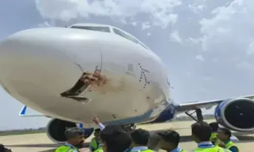 Bird-hit IndiGo flight makes emergency landing at Ranchi
