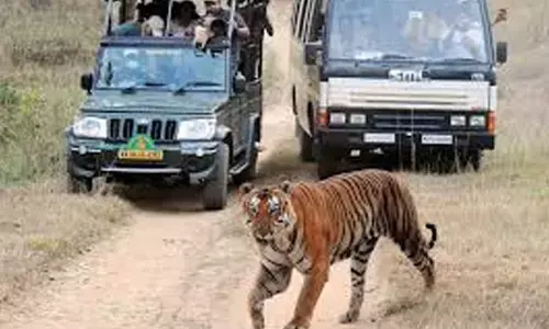 Trespassers fined, warned in Bandipur Sanctuary