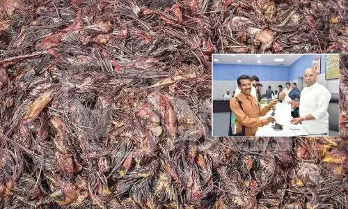 Instead of dumpyard, chicken waste being diverted illegally