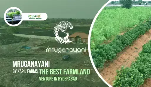Why Farmland Near Hyderabad is Becoming the Next Big Investment Trend