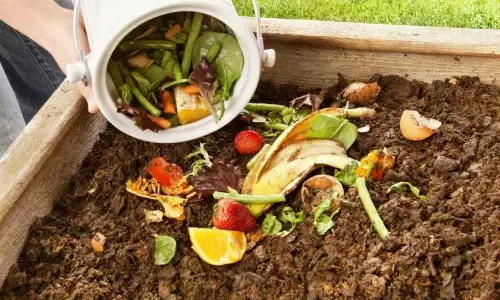 Kitchen Scraps That Make Excellent Organic Fertilisers for Your Garden