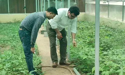 HADP boosts horticulture in J&K’s Poonch, doubling farmers’ income