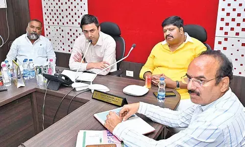 Crisis deepens for mango farmers amid price crash