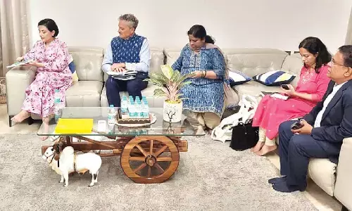 Australian consul general Silia Zaki meets Energy Minister