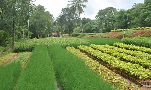 Coast ready to green western Ghats region