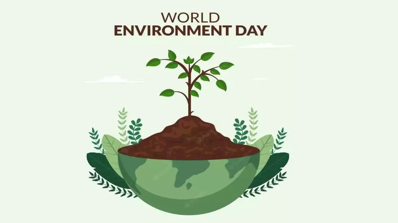 World Environment Day: Role of Project Management in Environmental Stewardship World Environment Day: Role of Project Management in Environmental Stewardship