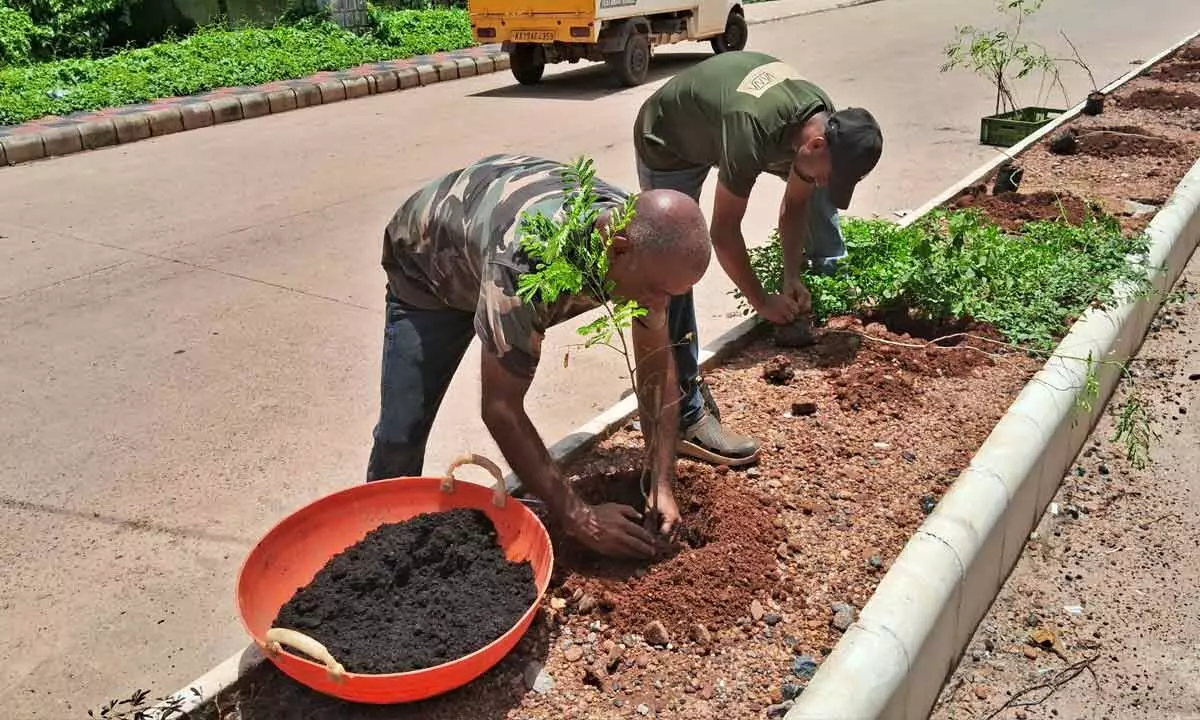 Mangaluru Man’s Green Crusade: 4,300 Trees for a Cleaner, Greener Coast Mangaluru Man’s Green Crusade: 4,300 Trees for a Cleaner, Greener Coast