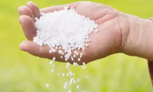 Centre’s silence on urea quota release keeps state on the edge