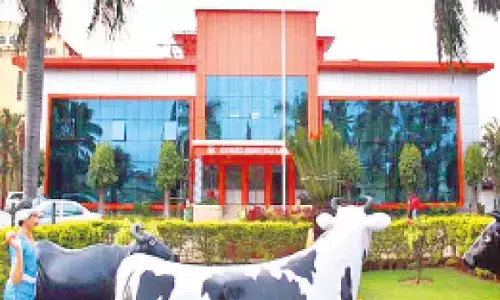 KMF achieves milestone: Record 1.06 cr litres of milk collected in a single day