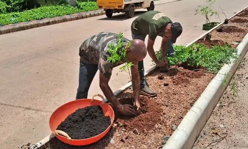 Mangaluru Man’s Green Crusade: 4,300 Trees for a Cleaner, Greener Coast