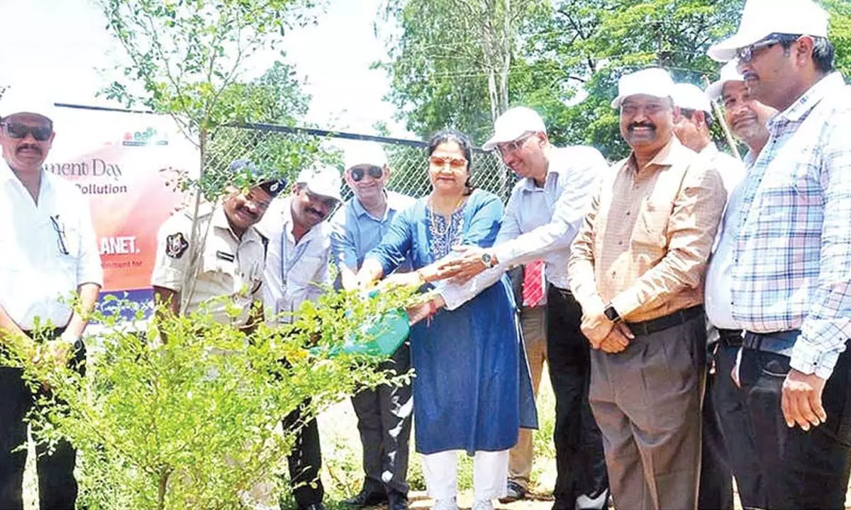 Bank of Baroda launches tree plantation drive Bank of Baroda launches tree plantation drive