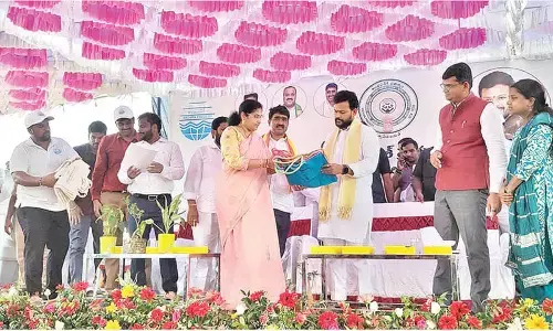 Plantation drives, advocacy programmes mark WED