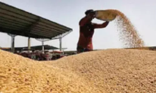Centre’s wheat procurement at MSP rises to 3-yr high