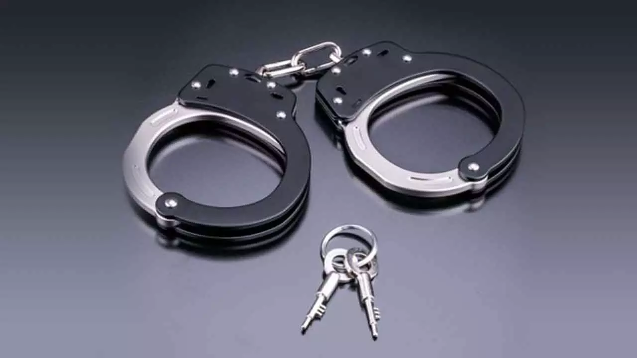 Wife Among Four Arrested in Meghalaya Murder During Honeymoon, Say Police