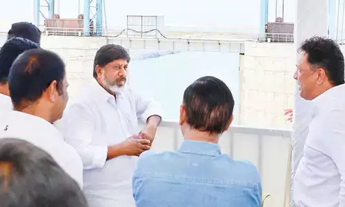 Green energy to light up the world in future: Bhatti