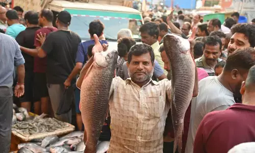 Fish lovers flood markets on Mrigasira Karte