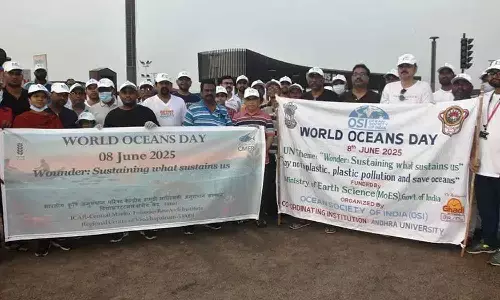 ‘World Oceans Day’ brings spotlight on marine conservation