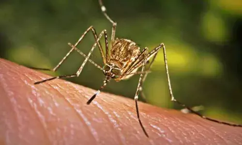 Sri Lanka reports over 25,000 dengue cases so far this year